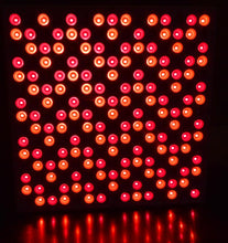 Load image into Gallery viewer, GembaRed Groove NIR Light Panel-Matt Blackburn